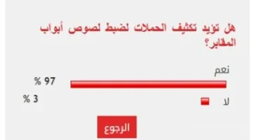 مطلب شبه إجماعي.. 97 يطالبون بحل رادع لمواجهة لصوص المقابر 1